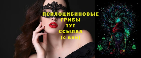 spice Бугульма