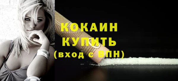 прущие грибы Бронницы