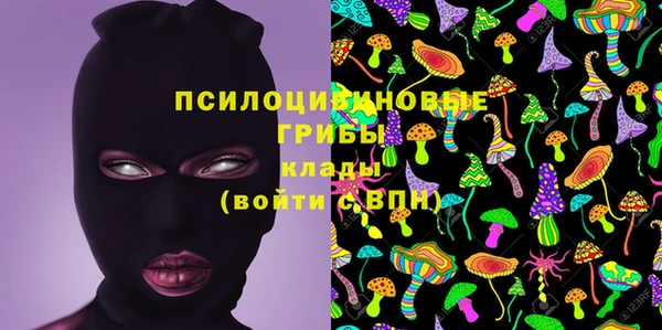 прущие грибы Бронницы