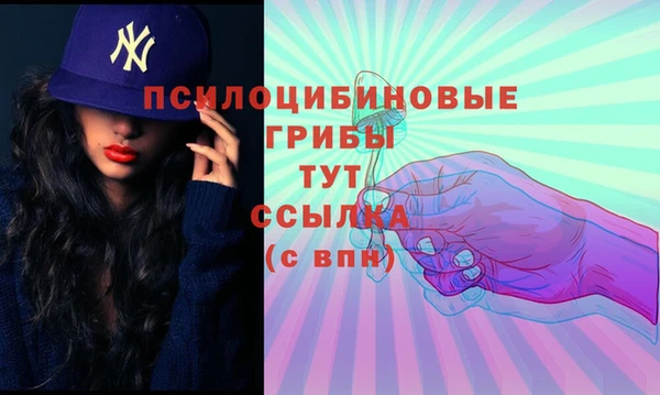 прущие грибы Бронницы