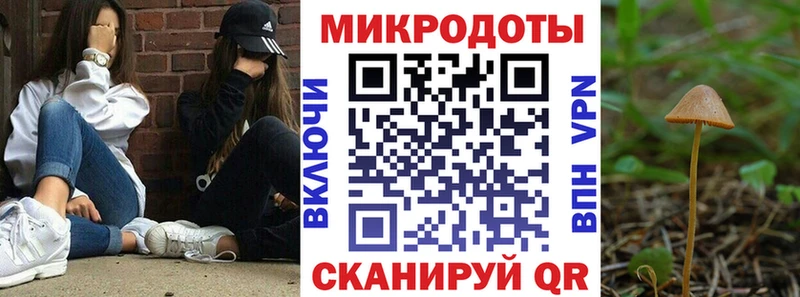 Псилоцибиновые грибы Psilocybe  Горячий Ключ 